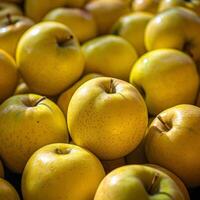 A Bunch Of Golden Delicious Apples photo