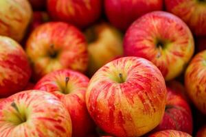 A Bunch Of Red Apples photo