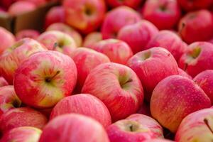 A Bunch Of Red Apples photo