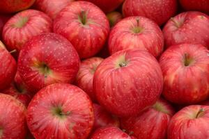 A Bunch Of Red Apples photo