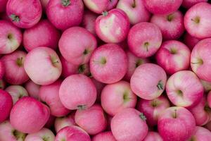 A Bunch Of Pink Lady Apples photo