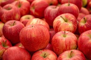 A Bunch Of Red Apples photo