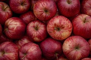 A Bunch Of Red Apples photo