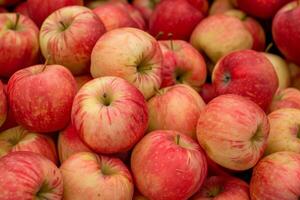 A Bunch Of Red Apples photo