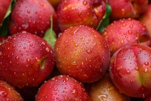 A bunch of red plums with water droplets on them photo