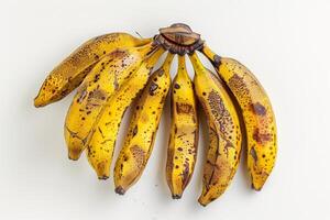 A bunch of bananas with spots on them photo