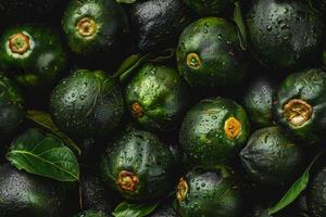 A pile of green ripe avocados photo