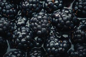 Blackberries are a great source of antioxidants photo