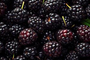 Blackberries are shown in this photo