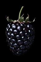 Blackberry by james mccormick photo