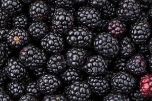 Blackberries are a great source of antioxidants photo