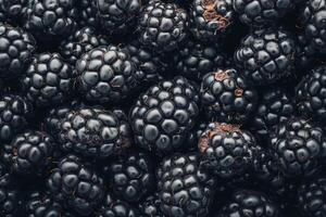 Blackberries are a great source of antioxidants photo