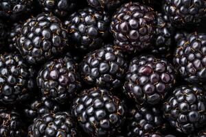 Blackberries are a great source of antioxidants photo