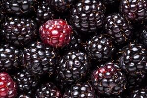 Blackberries are a great source of antioxidants photo