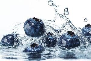 Blueberries are splashing into the water photo