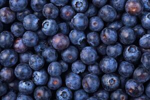 Blueberries are a great source of antioxidants photo
