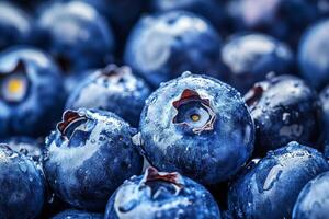 Blueberries are a great source of antioxidants photo