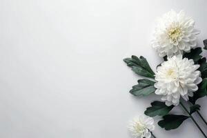 White flowers on a white background photo