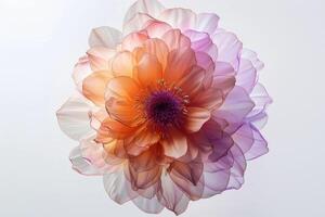 An image of a flower with a purple center photo