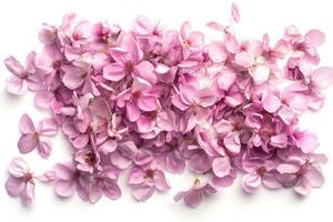 A pile of pink flowers on a white surface photo