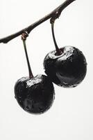 Two black cherries on a branch with water droplets photo