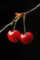 Two cherries are hanging from a branch photo