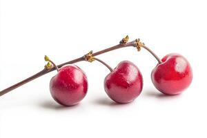Three cherries are on a white background photo
