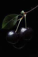 Two cherries are on a branch with leaves photo