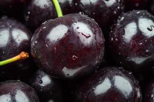 A close up of a bunch of black cherries photo