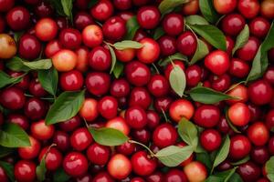 Cherry fruit background with green leaves photo