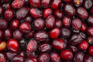 Cranberries are a great source of vitamin c photo