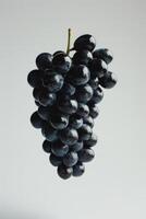 A bunch of black grapes on a white background photo