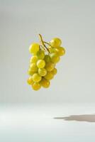 A bunch of grapes on a white background photo