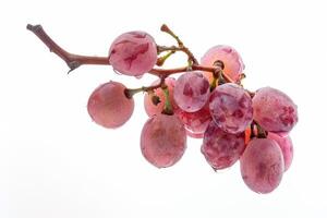 A bunch of grapes on a white background photo