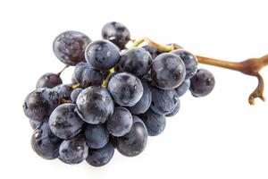 A bunch of grapes on a white background photo