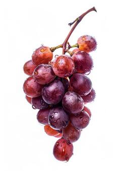 A bunch of grapes on a white background photo