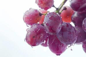 A bunch of grapes with water droplets on them photo