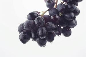 A bunch of grapes hanging from a branch photo