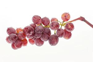 A bunch of grapes on a white background photo