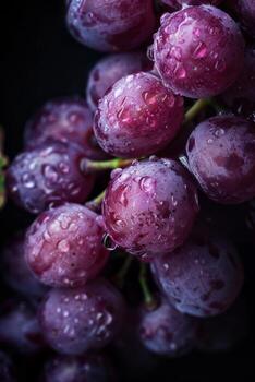 A bunch of grapes with water droplets on them photo
