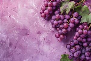 Purple grapes on a purple background photo