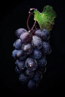 A bunch of grapes photo