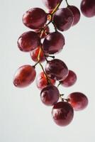 A bunch of grapes hanging from a branch photo