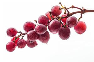 A bunch of red grapes on a white background photo