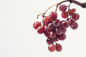 A bunch of red grapes on a white background photo