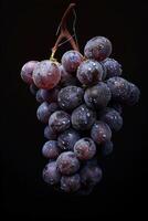 A bunch of grapes on a black background photo