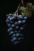 A bunch of grapes on a black background photo
