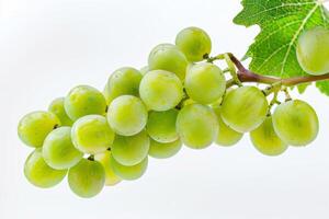 A bunch of green grapes on a white background photo