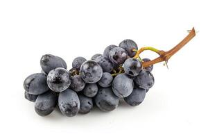 A bunch of grapes on a white background photo