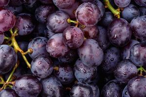 A close up of a bunch of grapes photo
